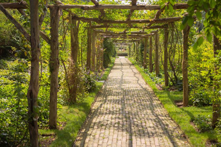 Garden pergola with brick pathway . Garden nature walk